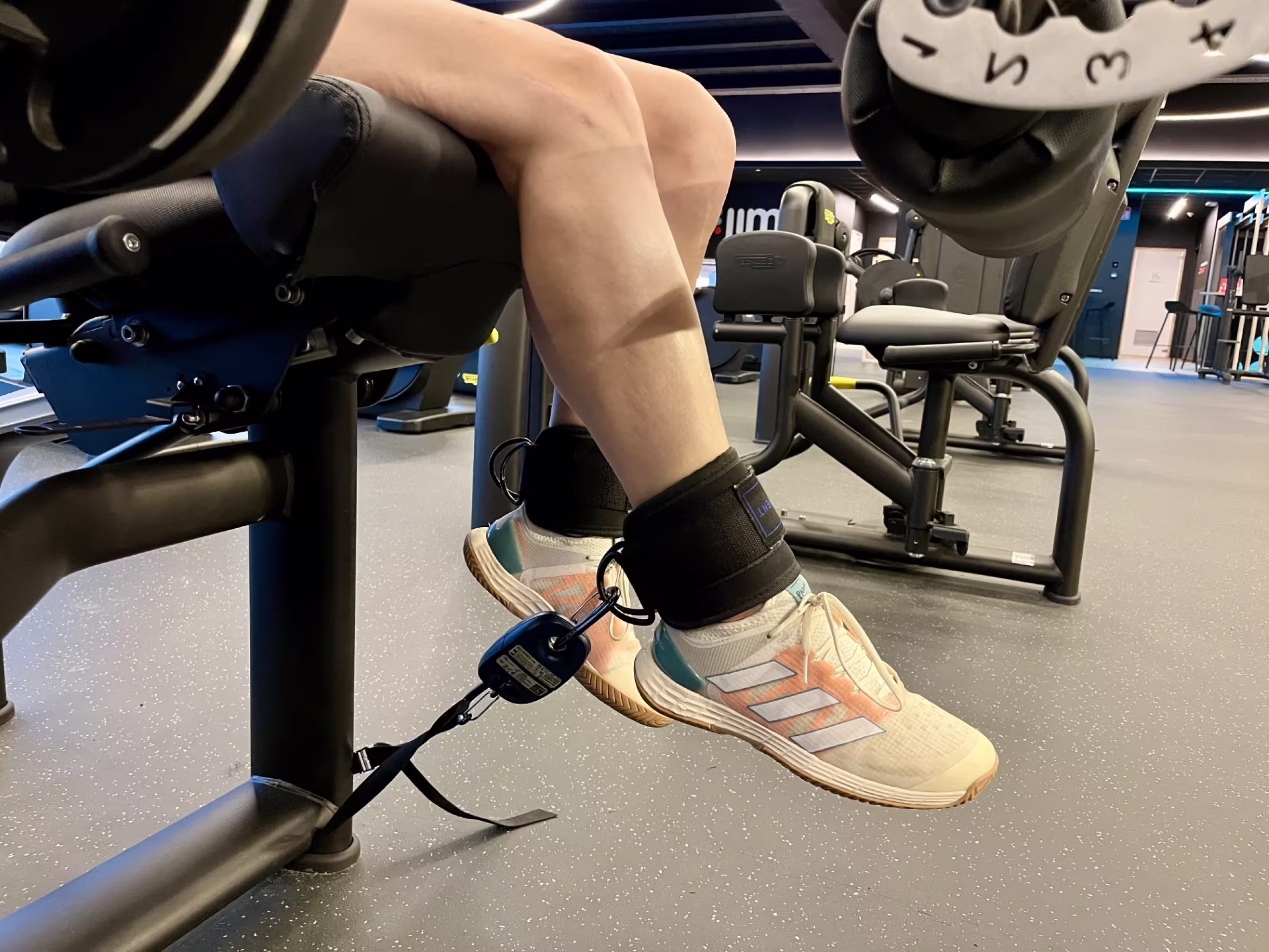Image of person doing leg raises